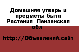 Домашняя утварь и предметы быта Растения. Пензенская обл.